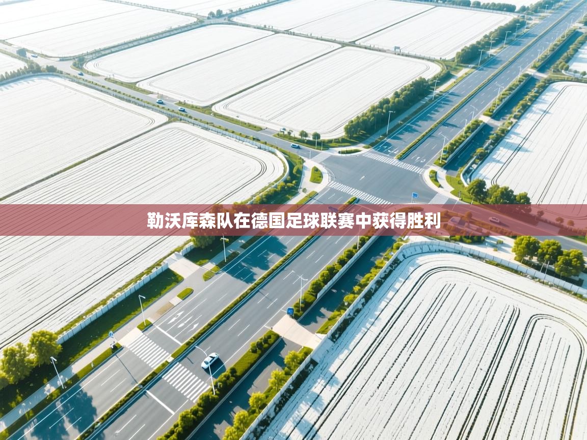 勒沃库森队在德国足球联赛中获得胜利