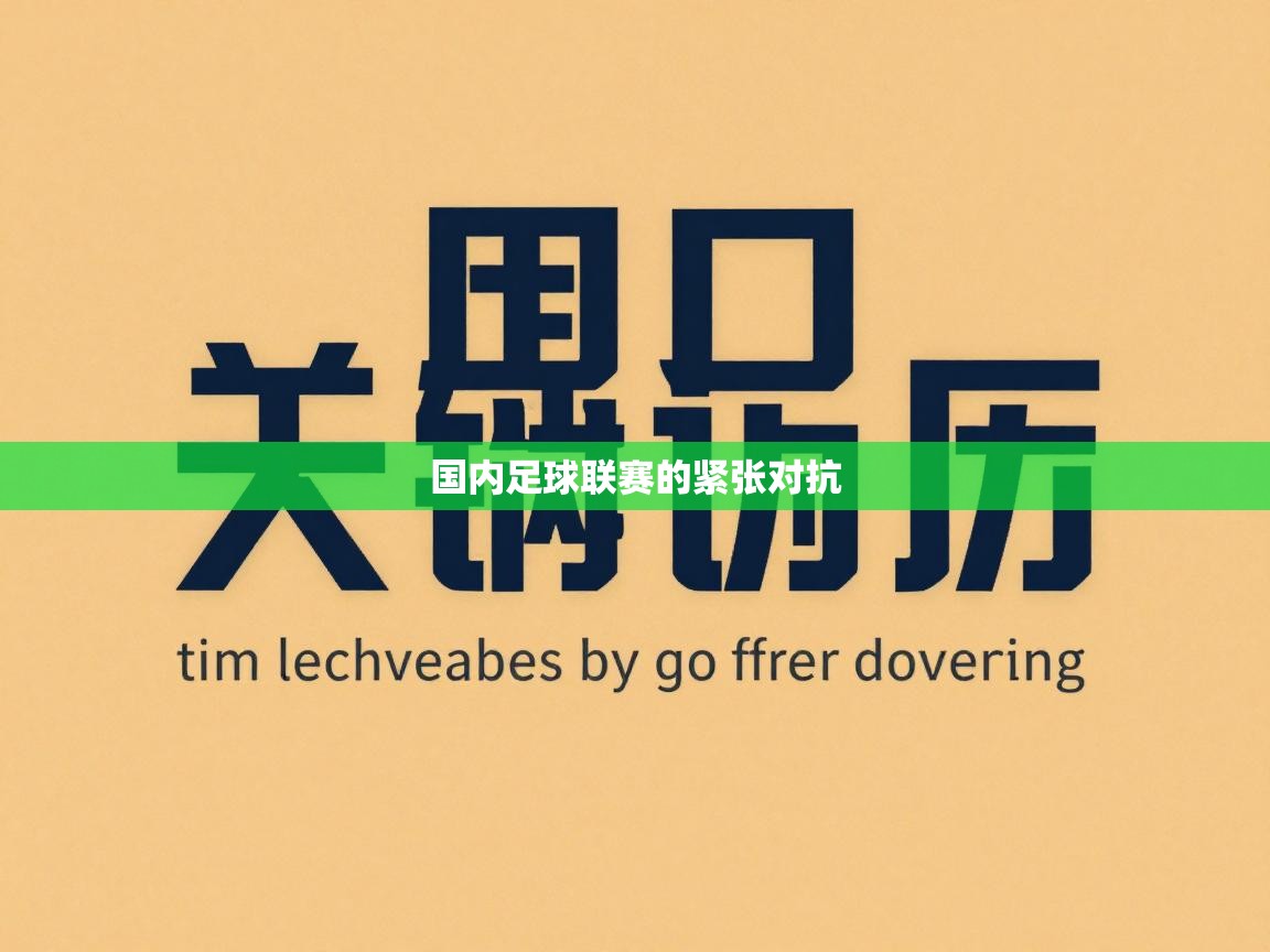国内足球联赛的紧张对抗