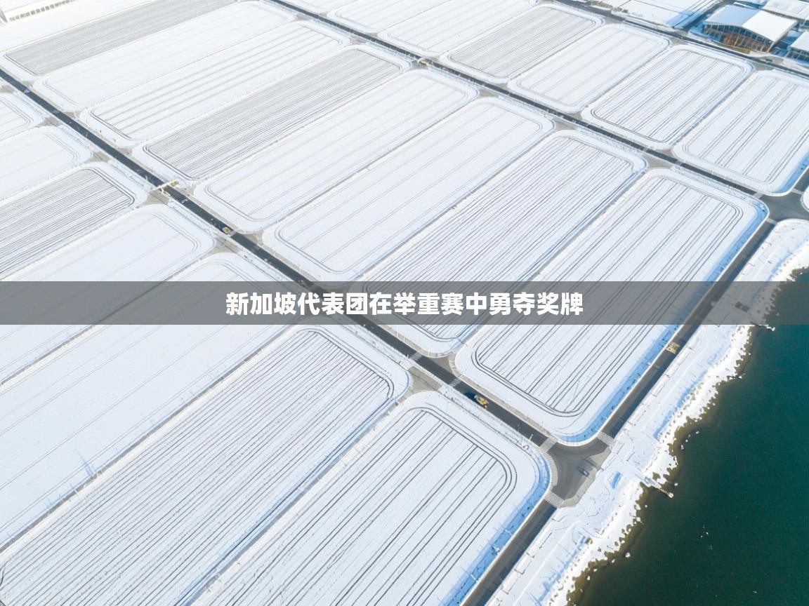 新加坡代表团在举重赛中勇夺奖牌 第2张